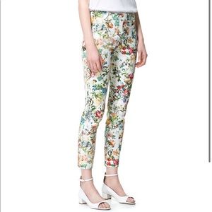 Zara Floral Pant